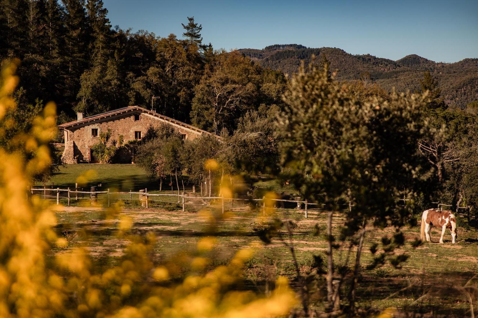 La Paradella - Apartamento De Uso Turistico Arbúcies Exterior foto
